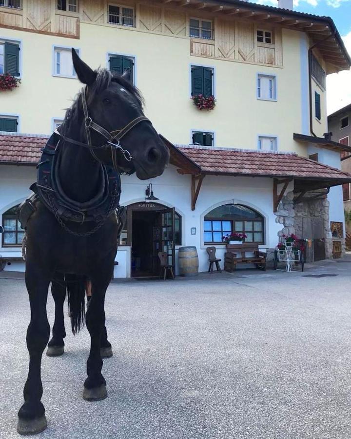Agritur Sandro Sporminore Esterno foto
