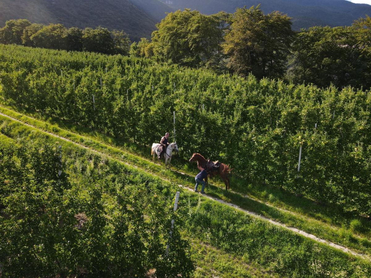 Agritur Sandro Sporminore Esterno foto